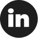 linkedin icon