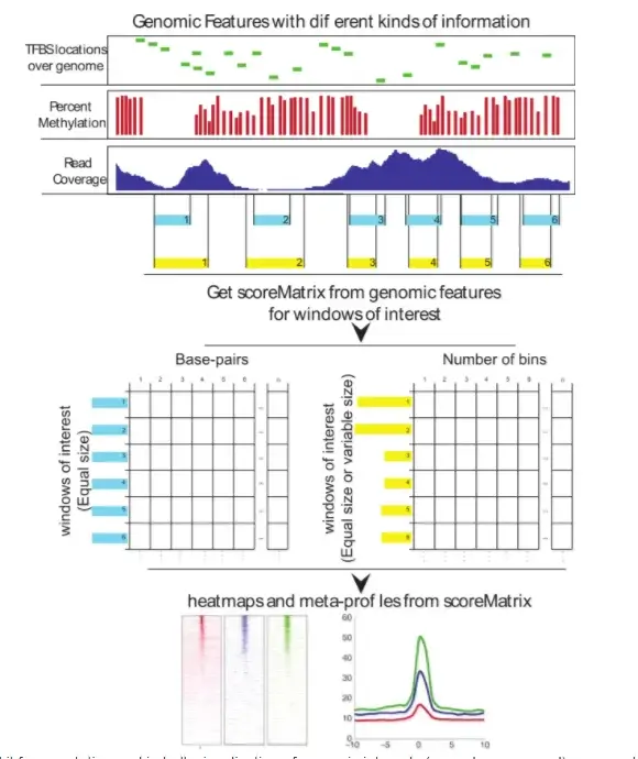 genomation bioinformatics software